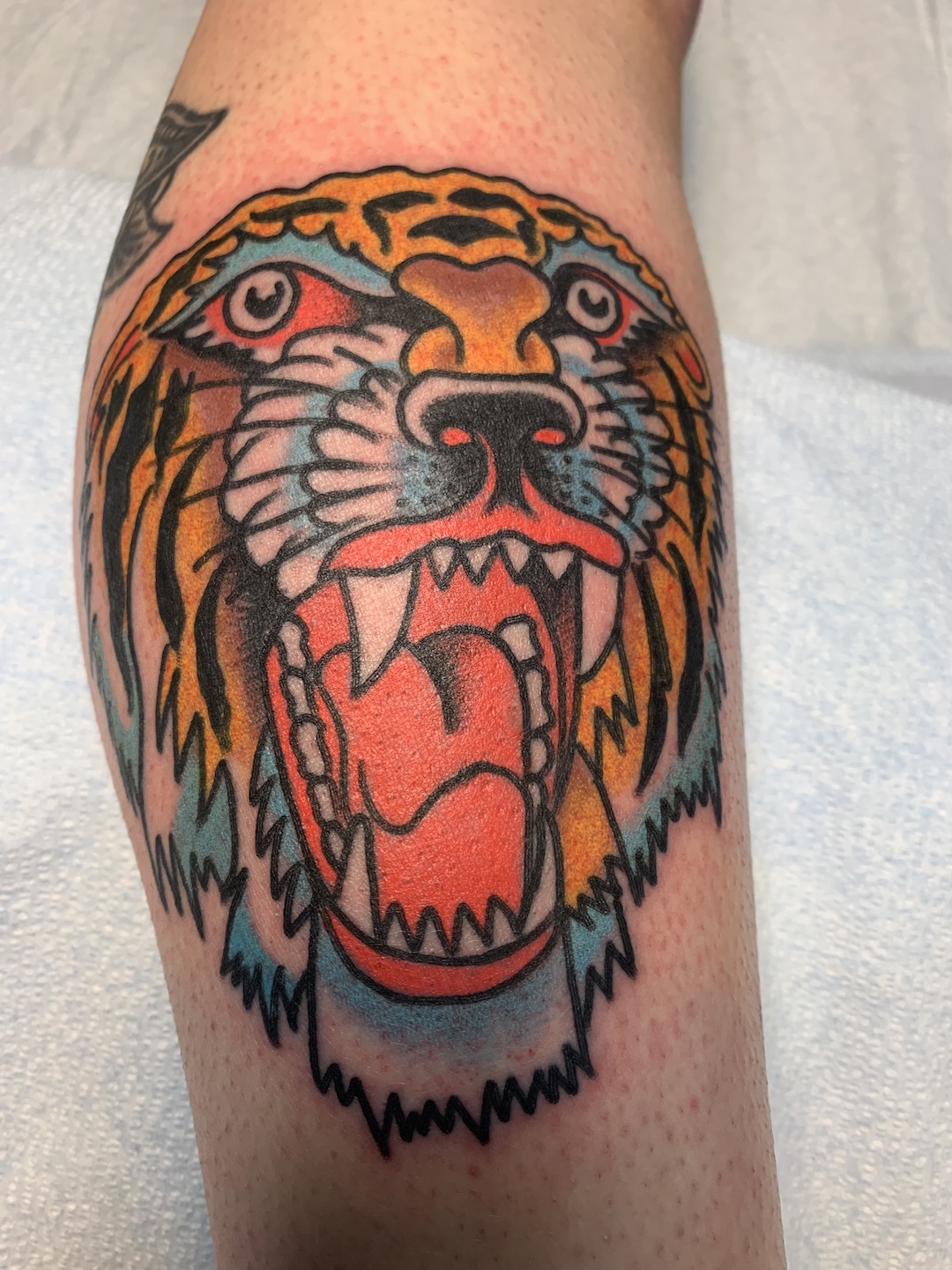 Tiger head tattooed in the American Traditional style. Made at Denver's finest Dedication Tattoo.