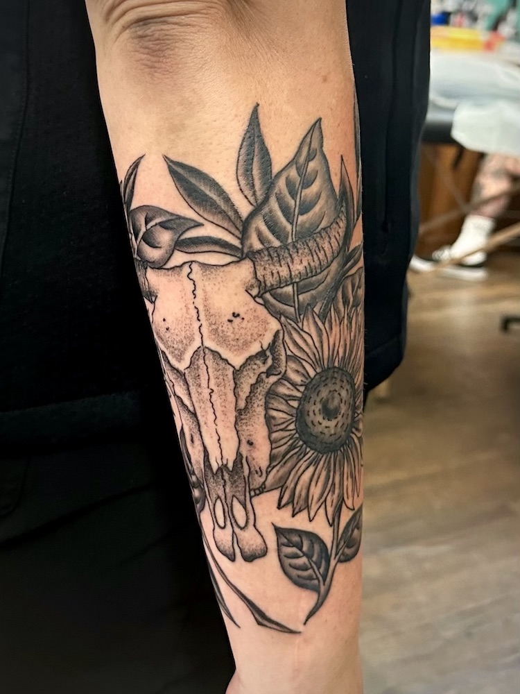 Cow skull and Sunflower tattooed in the American Traditional style. Made at Denver's finest Dedication Tattoo.