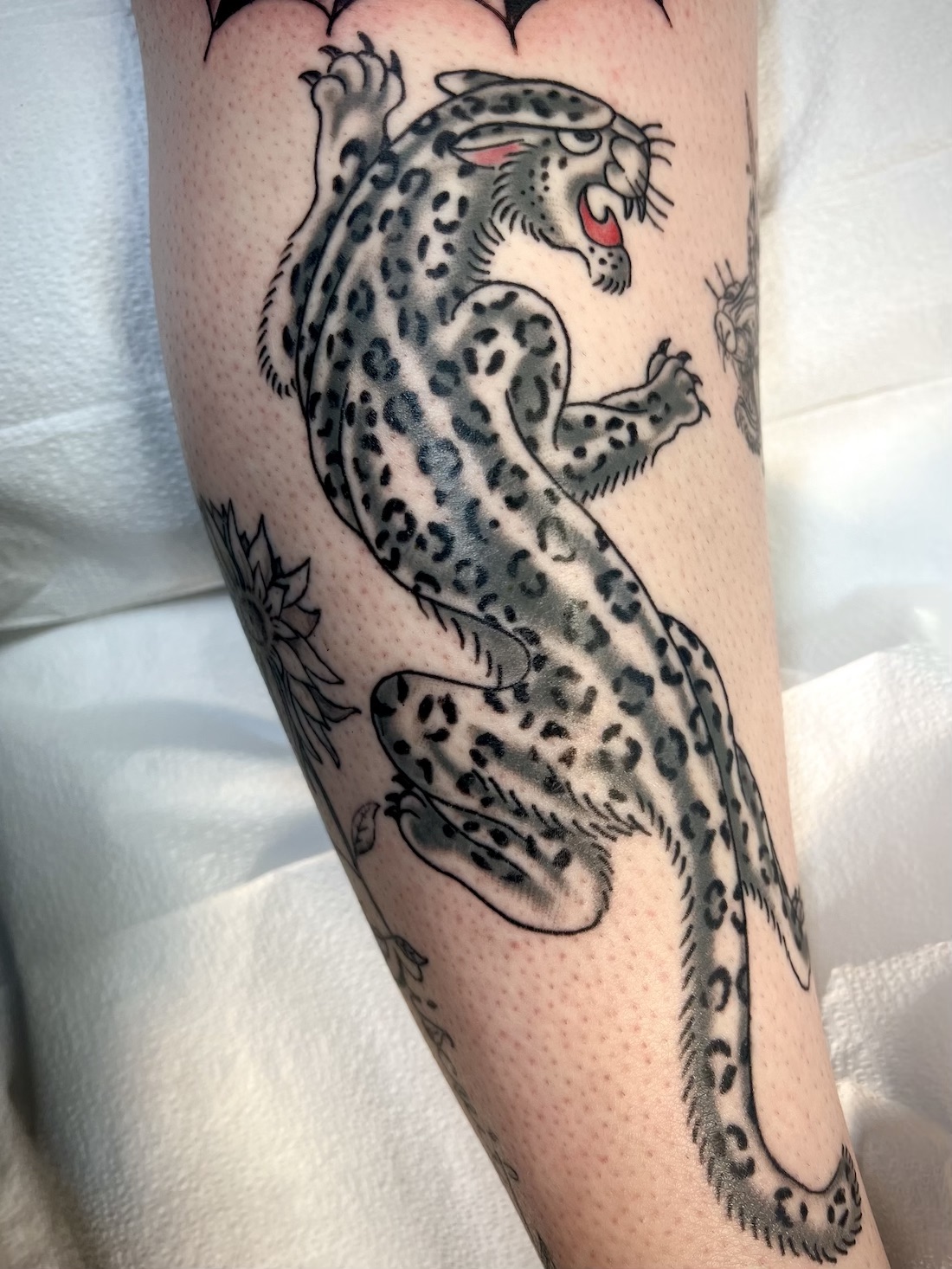 Crawling snow leopard tattooed in the American Traditional style. Made at Denver's finest Dedication Tattoo.