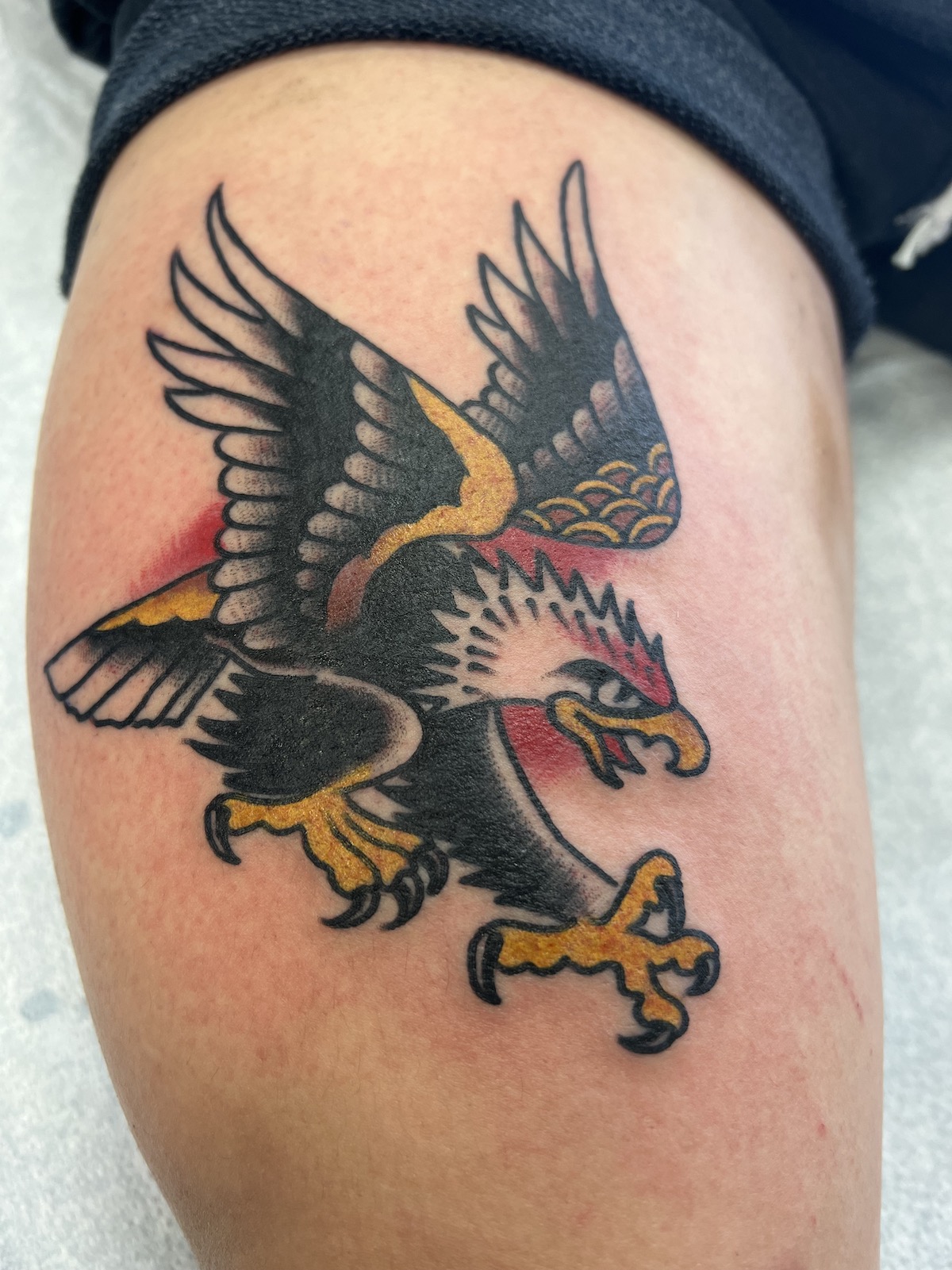 Flying Eagle tattooed in the American Traditional style. Made at Denver's finest Dedication Tattoo.