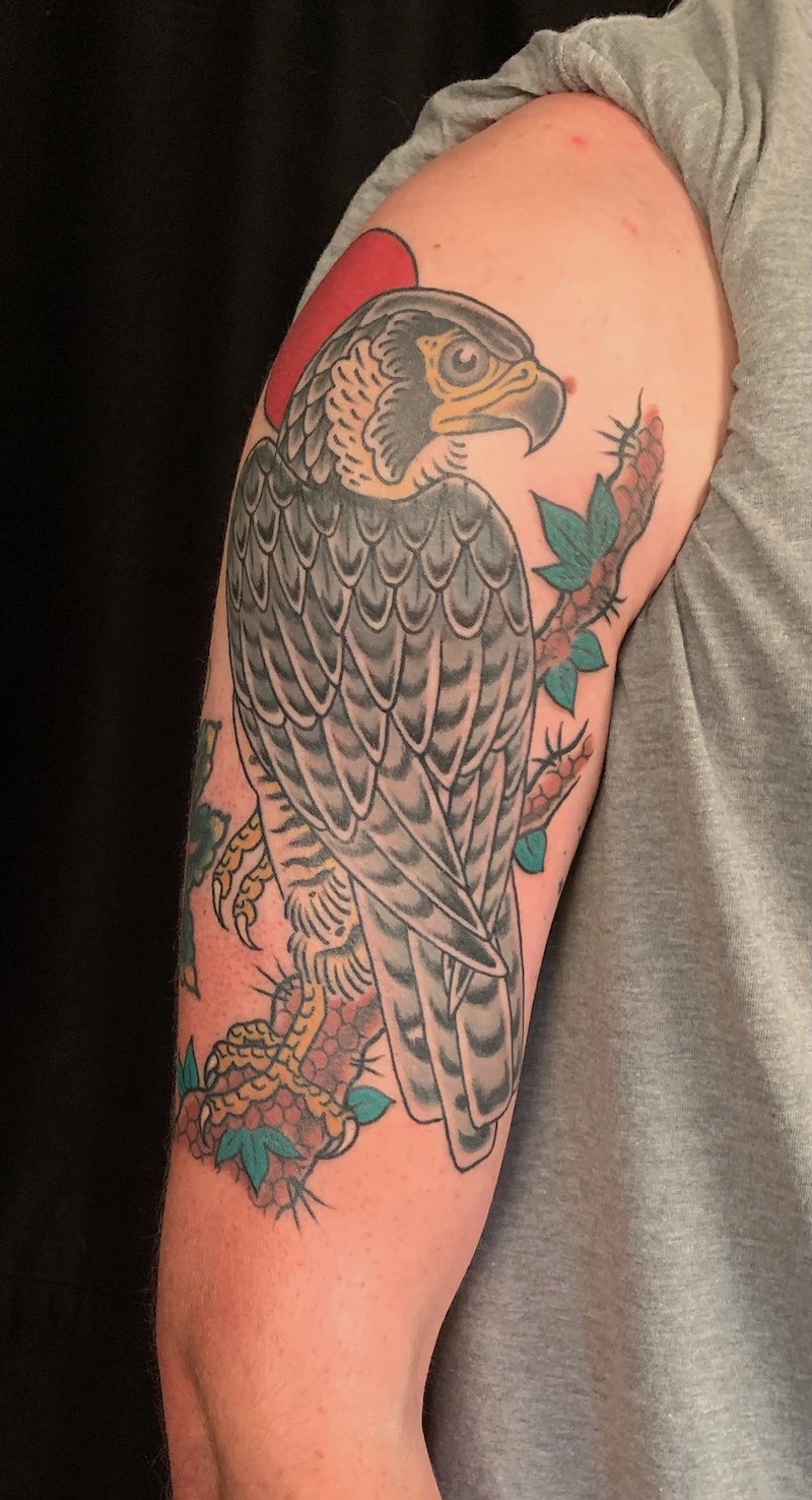 Hawk tattooed in the American Traditional style. Made at Denver's finest Dedication Tattoo.