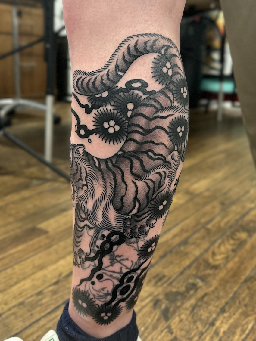 Tiger on the leg tattooed in the American Traditional style. Made at Denver's finest Dedication Tattoo.