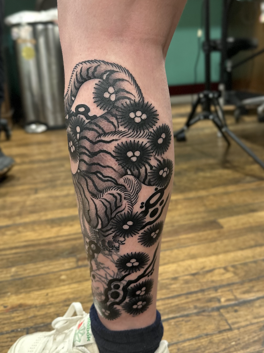 Tiger on the leg tattooed in the American Traditional style. Made at Denver's finest Dedication Tattoo.