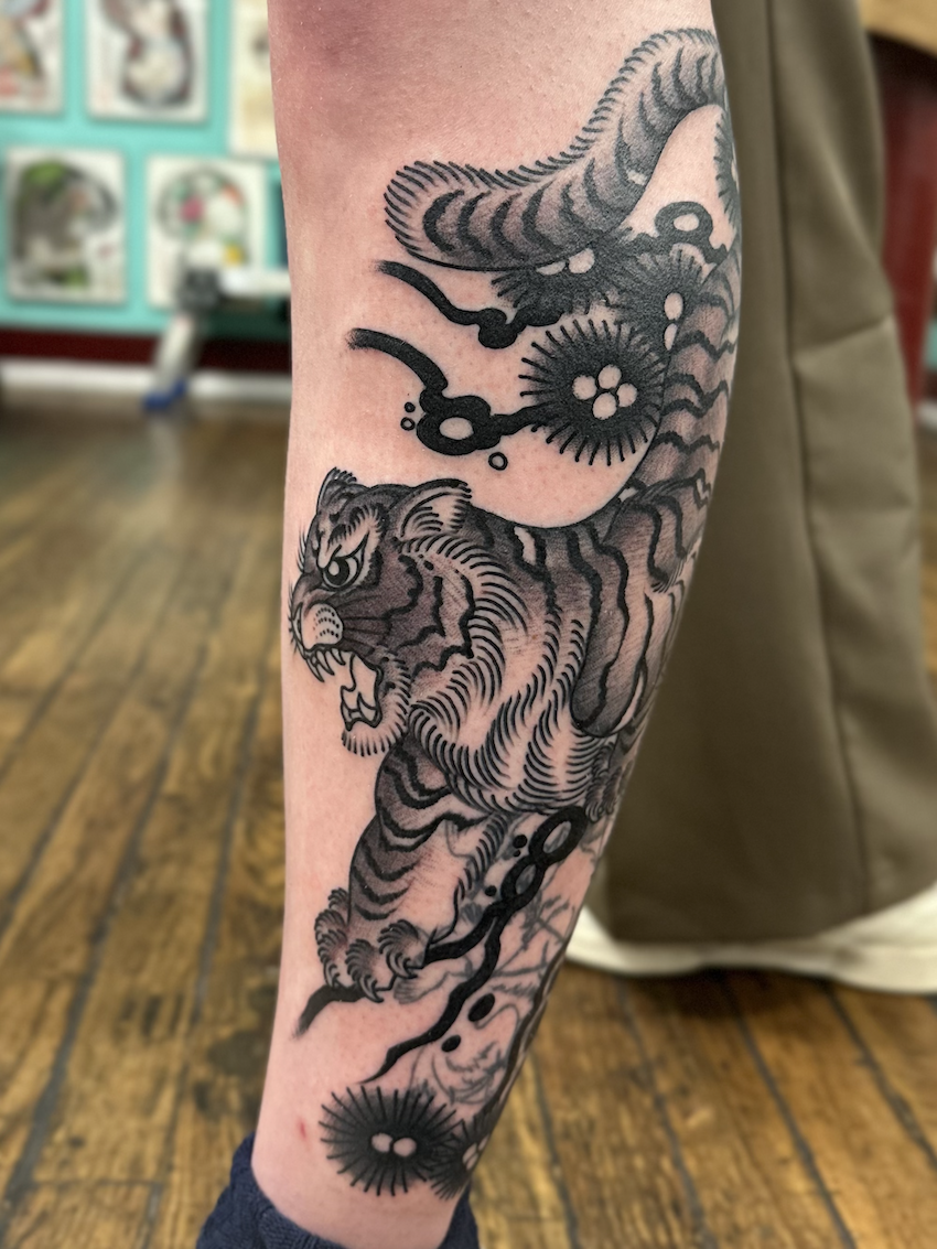 Tiger on the leg tattooed in the American Traditional style. Made at Denver's finest Dedication Tattoo.
